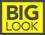 paid surveys at Big Look.